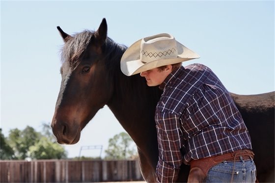 Image of man with a horse