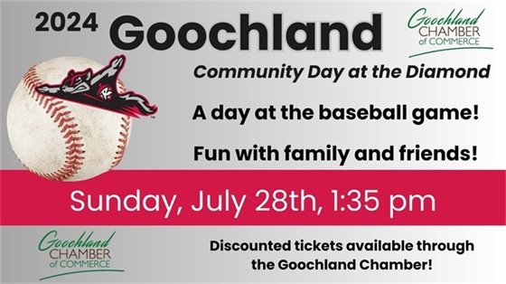 Goochland Day at the Diamond Flyer